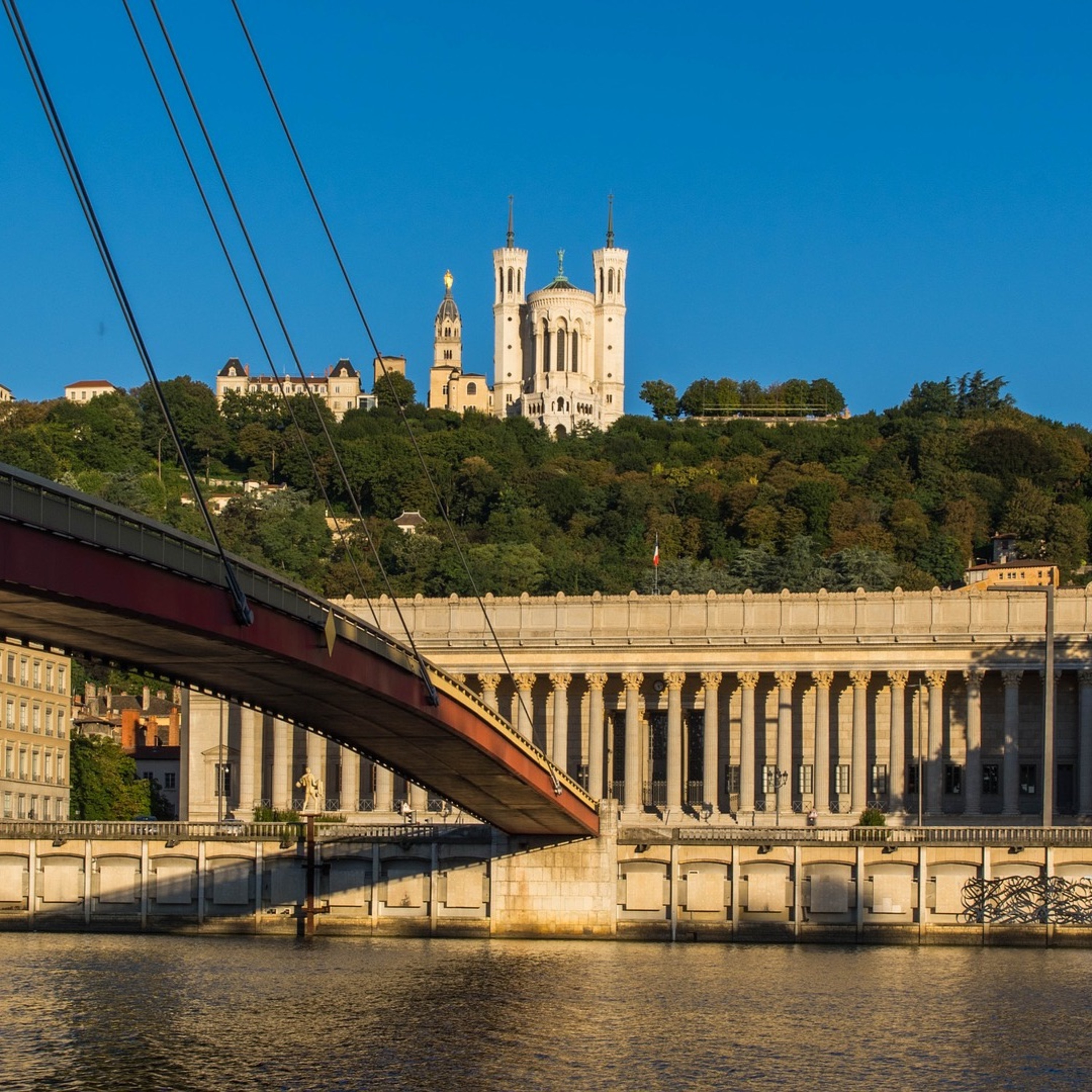 Les Lyonnais du monde réel