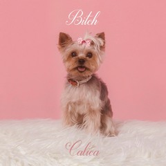 Bitch
