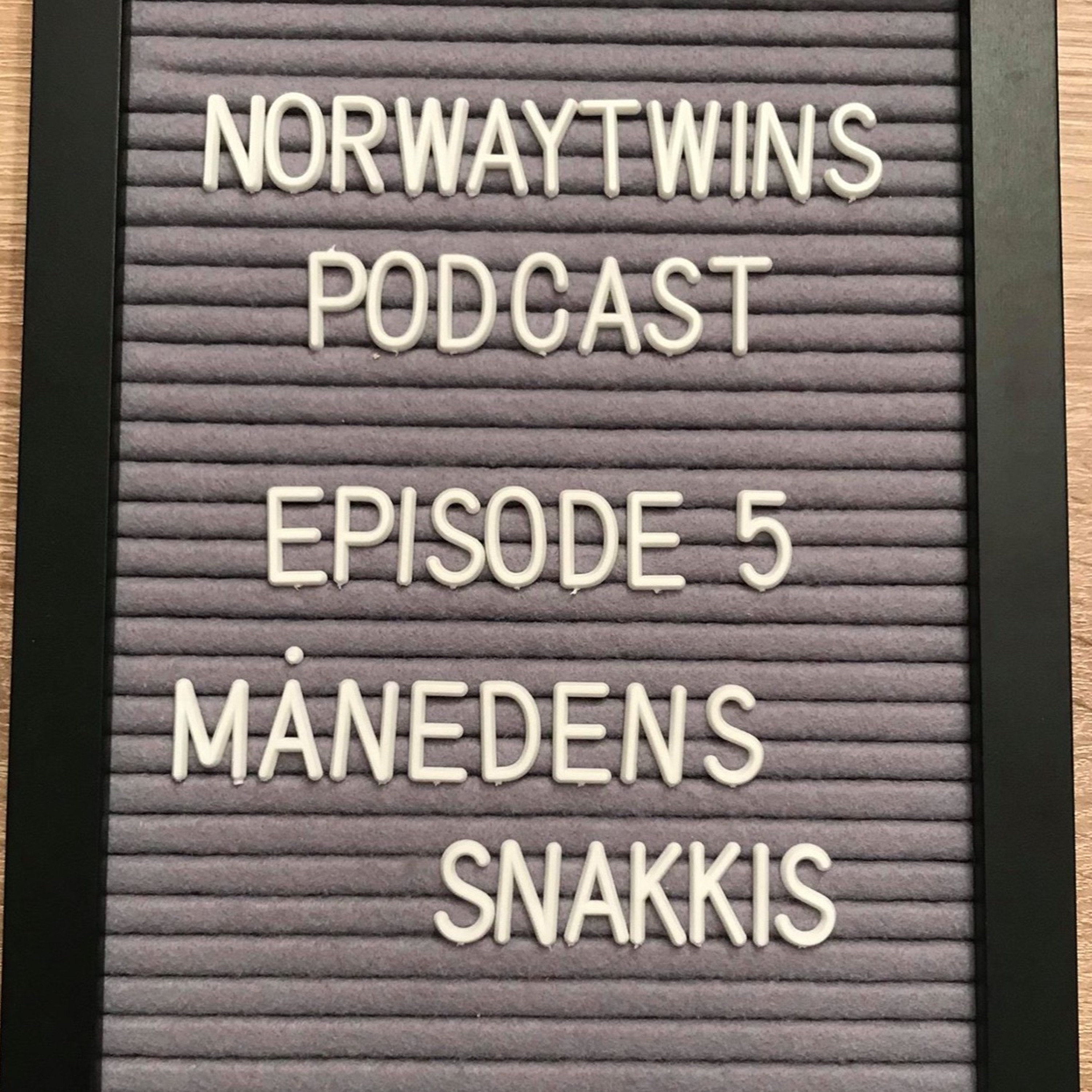 Norwaytwins om ting og tang