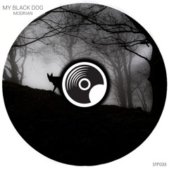 STP033 : Modrian - My Black Dog (Original Mix)