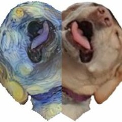 Daft Punk - Voyager [Cover] (No Flanger)