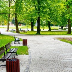 A Walk in The Park