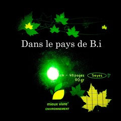 Dans le pays de B.i - Instru. Skybowl 2010