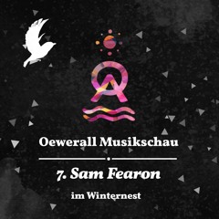 #07 Oewerall Musikschau - Sam Fearon Winternest @ Ritter Butzke