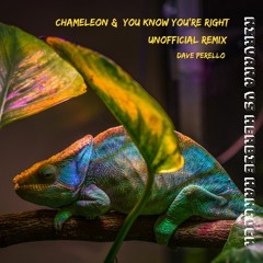 Nirvana Vs. Herbie Hancock - Chameleon Knows You're Right (Dave Perello REMIX)