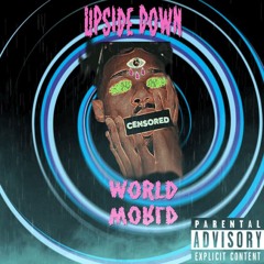 Groovy Boy - <Upside Down World>