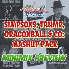 Simpsons, Trump, Dragonball & CO: Bigroom Mashup Pack - Minimix Preview