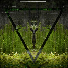 Adversary-Progressive Death Metal