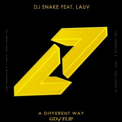 Dj Snake (with Lauv) - A Different Way (G.D.V *FLIP*)
