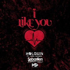 HOLGUIN - I LIKE YOU (SEBASTIEN REBELS REMIX)