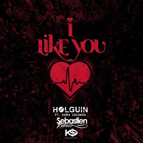 HOLGUIN - I LIKE YOU (SEBASTIEN REBELS REMIX)