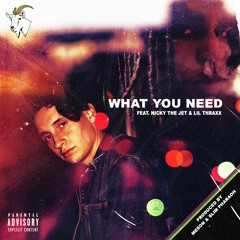 What You Need Ft. Nicky The Jet & lil thraxx (Prod. Meson & Slim Pharaoh)