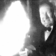 Merry Christmas You Filthy Animal...