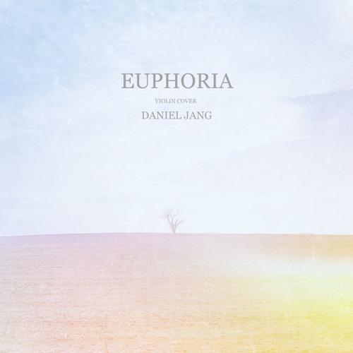 Euphoria - BTS (violin cover)