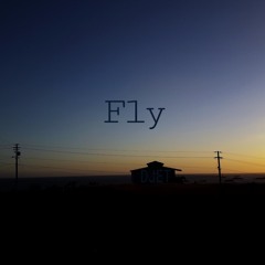 Fly