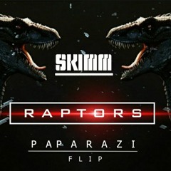 SKIMM - RAPTORS ( PapaRazi Flip)