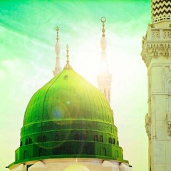 من أوصاف الحبيب محمد صلى الله عليه وسلـم - الإنسانيَّةُ العُليا | الرافعي