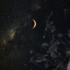 Gökçe Kılınçer - Neyleyeyim