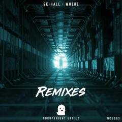 Sk-Hall - Where (Fakti Remix) (Out on Spotify)