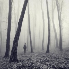 Lost