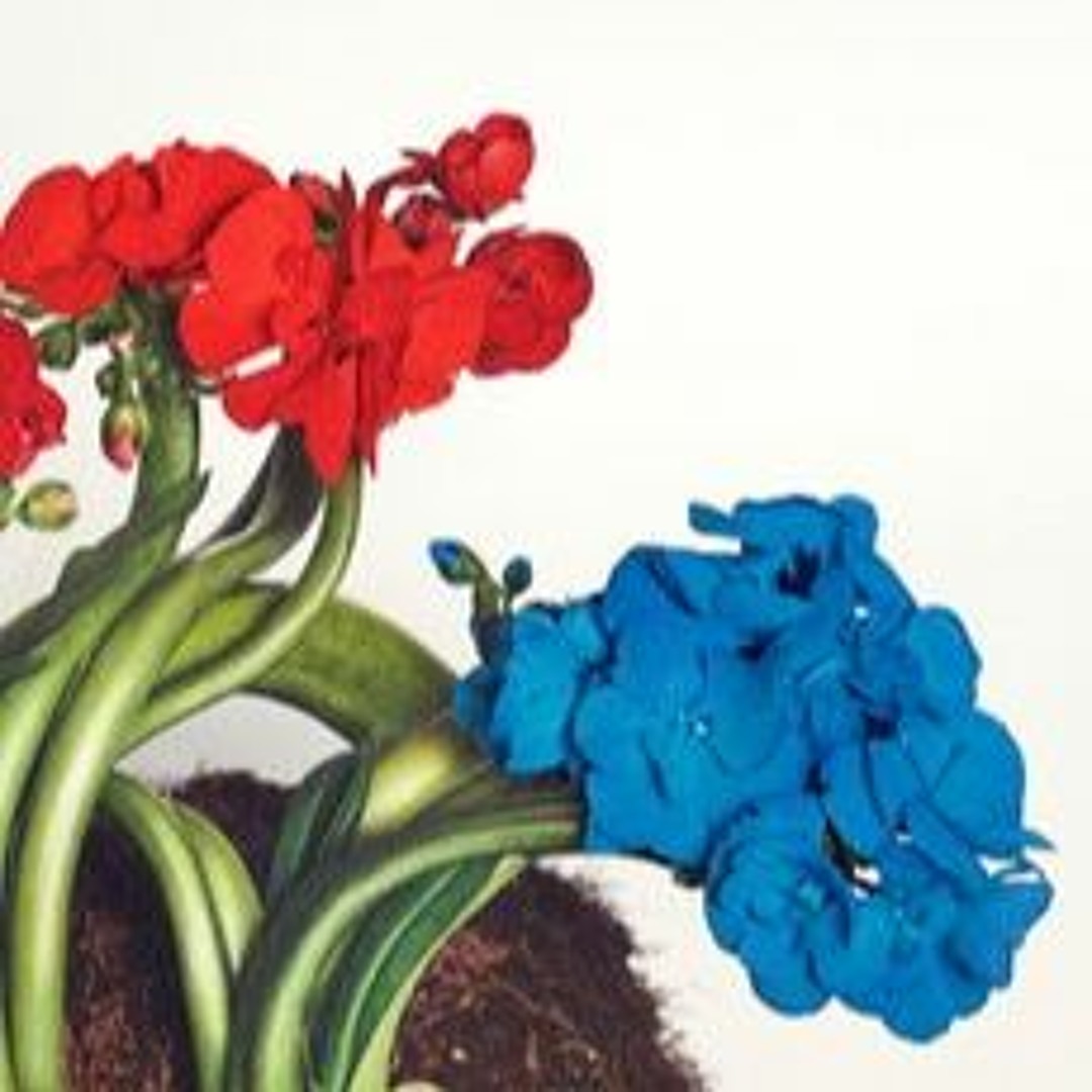 artworks-000477582801-8t7355-