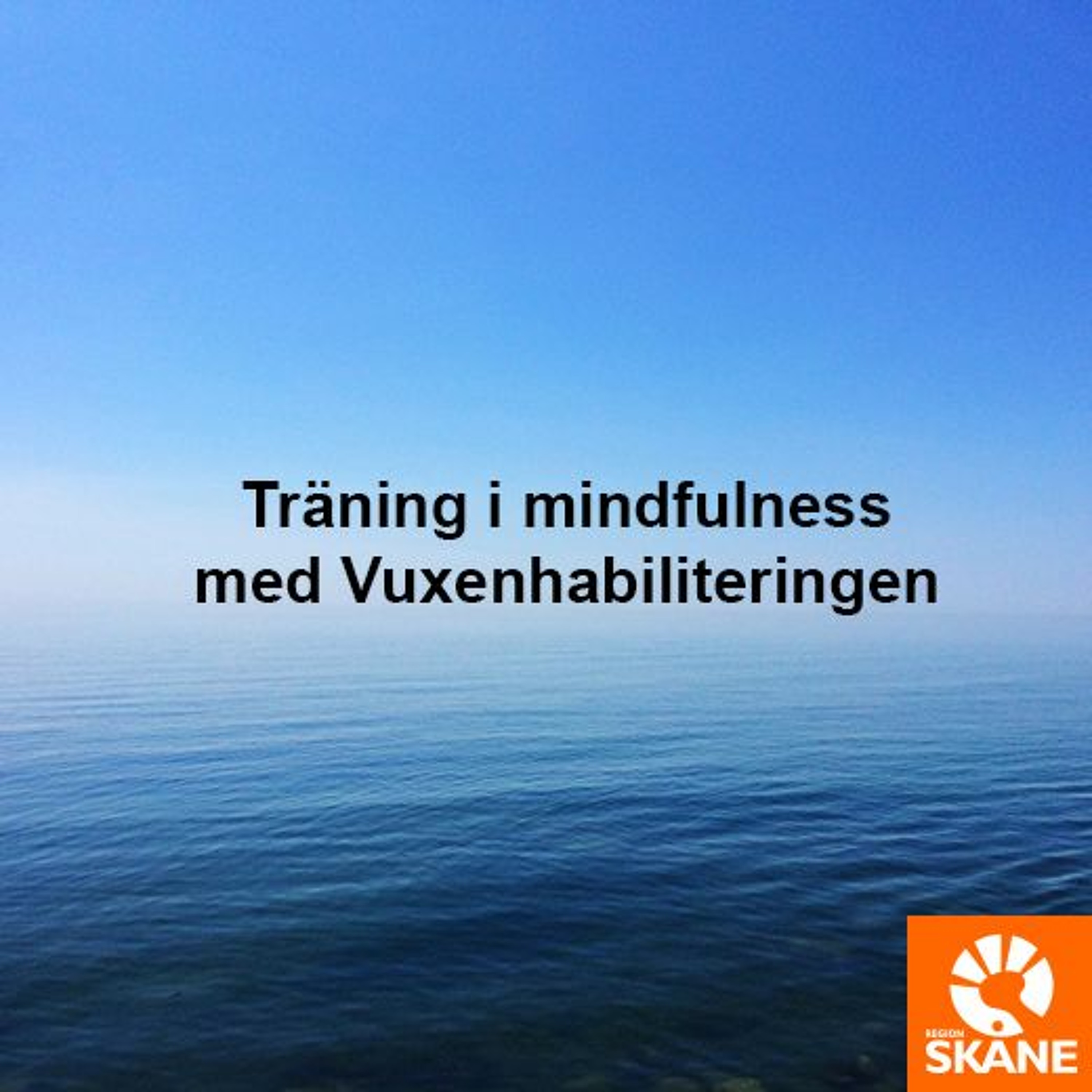 Träning i mindfulness - Habilitering för vuxna