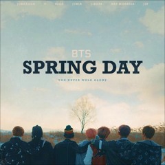 Spring Day - BTS (cover)~