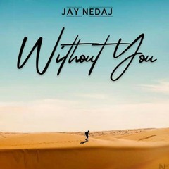 Without you by jay nedaj