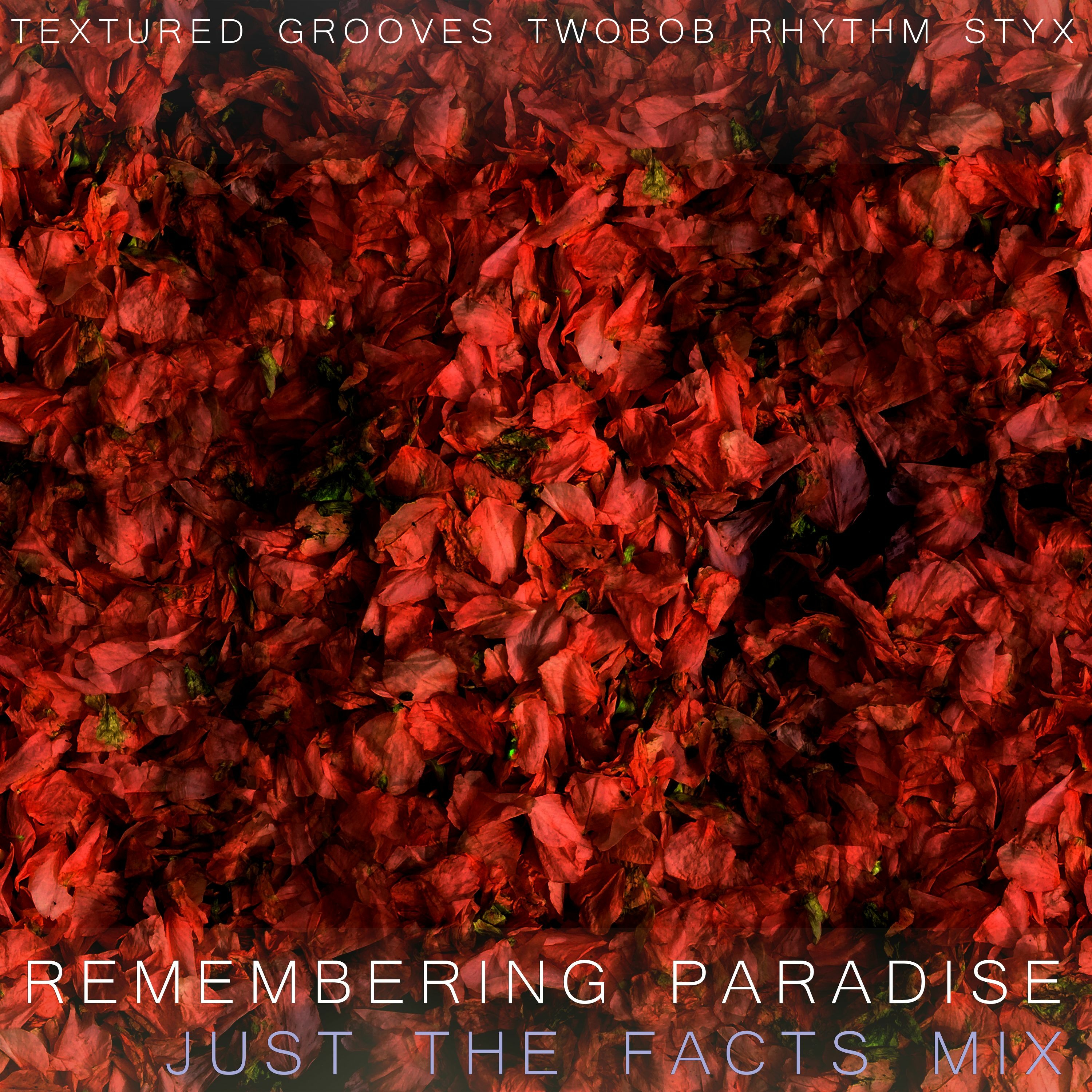 TEXTURED GROOVES TWOBOB RHYTHM STYX - Remembering Paradise Just The Facts Mix episode artwork