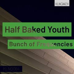 Bunch Of Frequencies – Half Baked Youth (preview)