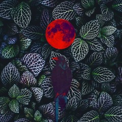 [FREE] BLUEFACE x YG 'SLIDE' Type Beat | West Coast Type Beat | Bleed It Type Beat