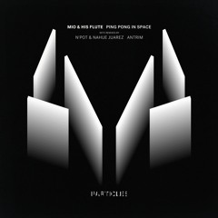Mio & His Flute - Ping Pong In Space (N'Pot & Nahue Juarez Remix) [Particles]