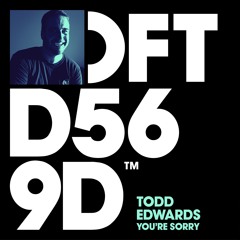 Todd Edwards - You're Sorry (Earsling Dub)