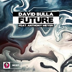 David Bulla - Future (ft. Anthony Meyer)