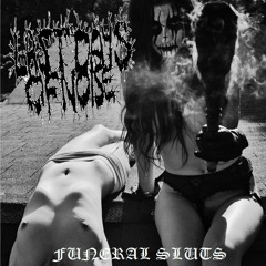 LAST DAYS OF NOISE - FUNERAL SLUTS ALBUM