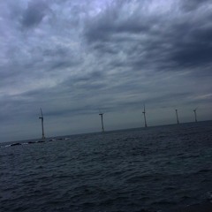 사랑해 씨발아 - PLUMA X Loxxin (prod. noname)