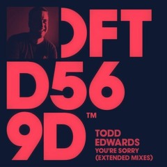 Todd Edwards - You're Sorry (speed garage edit)