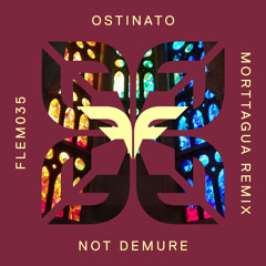 Premiere: Not Demure - Ostinato (Morttagua Remix) [Flemcy Music]