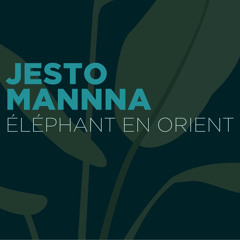 Éléphant En Orient