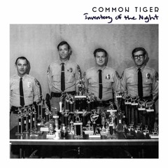 Common Tiger - Inventory Of The Night