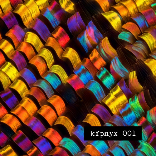 kfpnyx 001 by arg&strg