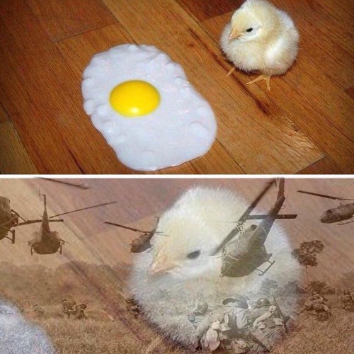 YoU PiCkEd ThE WrOnG SoNg