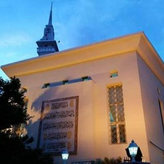 وأدخل من باب السلام - يا رسول الله إني إني مشتاق إليك