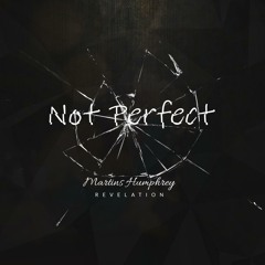 Not Perfect by Martins Humphrey a.k.a Revelation