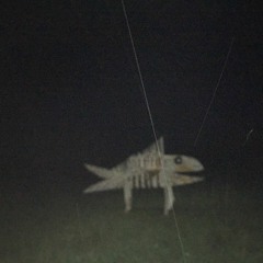 деревянная рыба (demo)