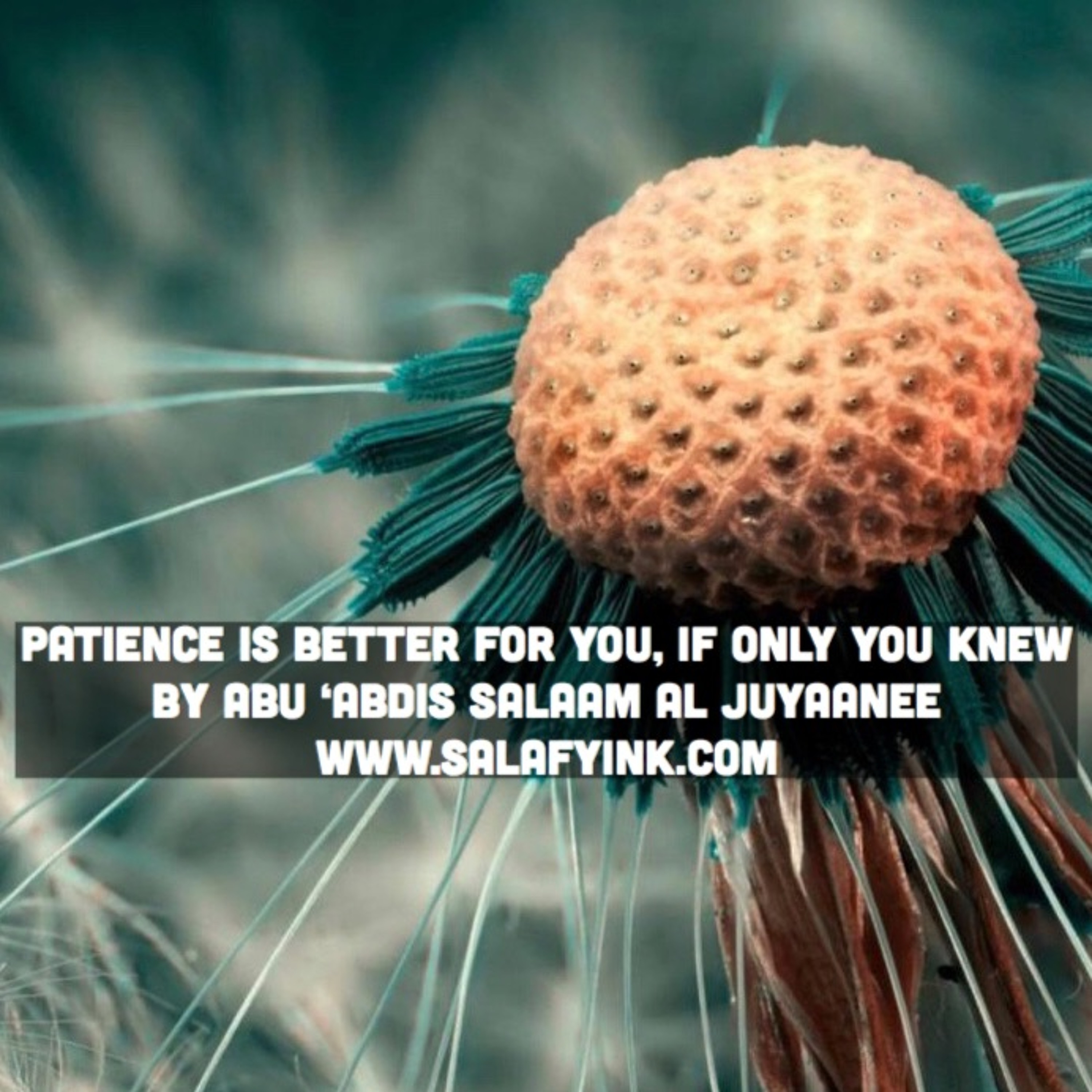 Patience Is Better For You, If Only You Knew By Abu ‘Abdis Salaam Al Juyaanee episode artwork