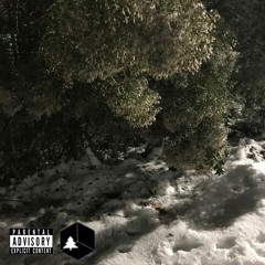 44below w/ hollow.soul [DISMAL][1/12]