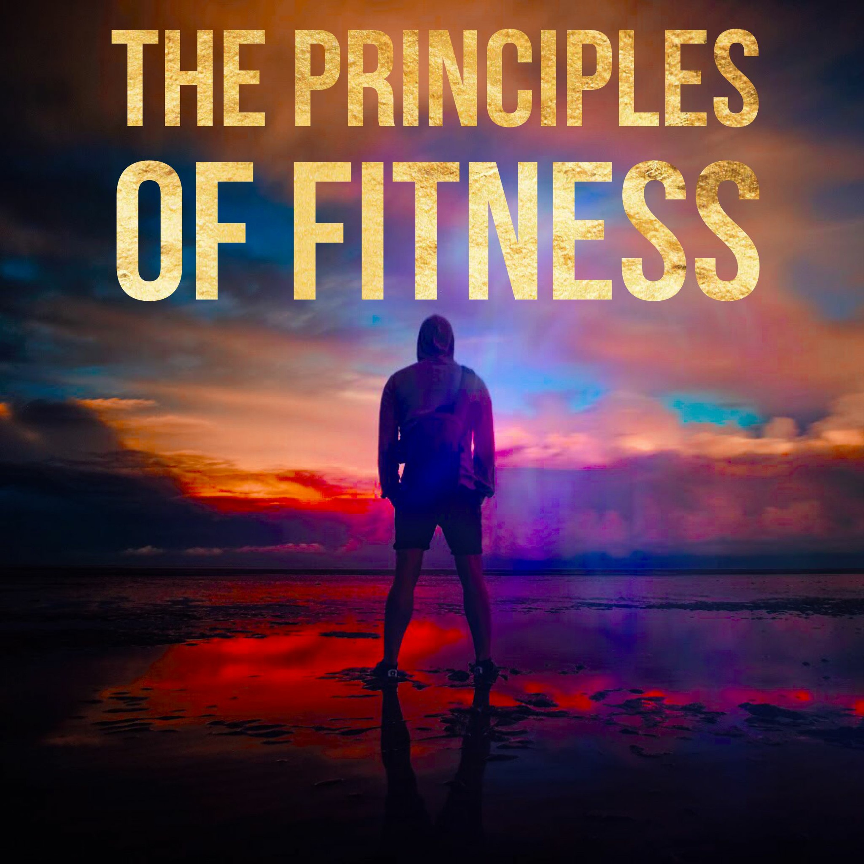 The Principles of Fitness Episode 1- Mike Pincus episode artwork