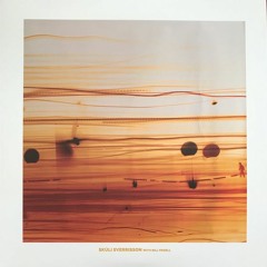 Skúli Sverrisson And Bill Frisell -Afternoon Variant