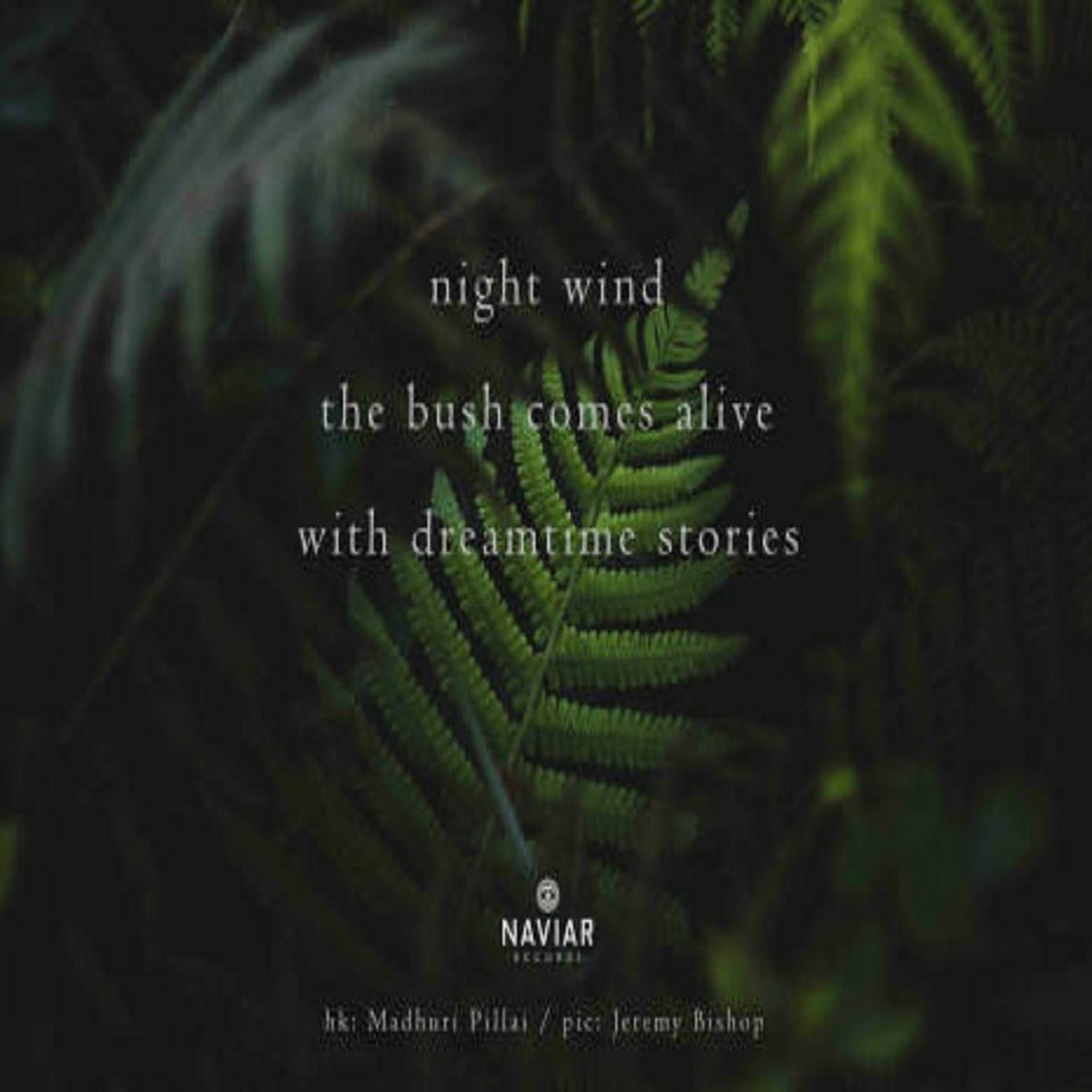 Night Wind - The Bush Comes Alive With Dreamtime Stories (Naviarhaiku 264) episode artwork